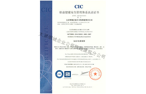 《職業(yè)健康******管理體力認證證書》